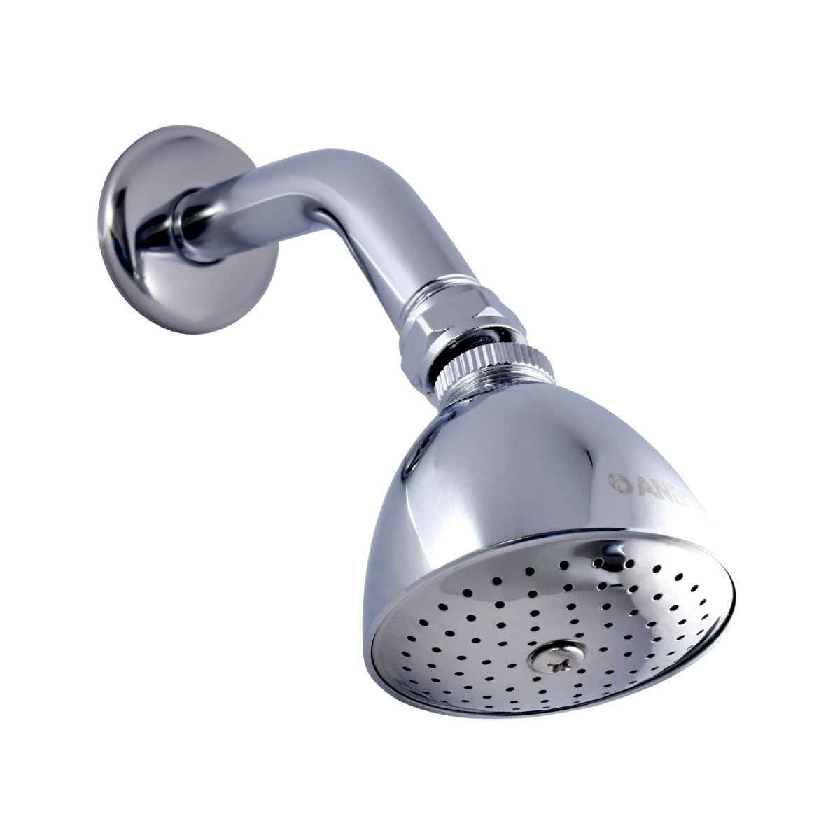 REGADERA CON BRAZO Y CHAPETÓN