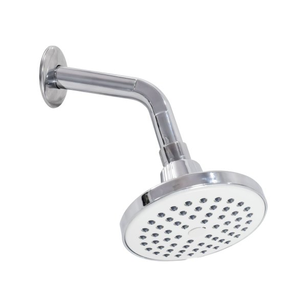 REGADERA CON BRAZO Y CHAPETÓN