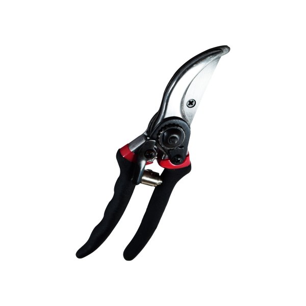 TIJERA FLORICULTURA 8