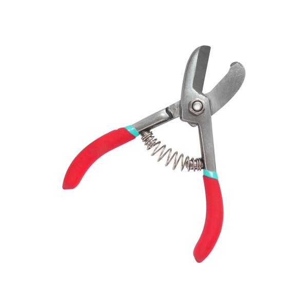 TIJERA AGUACATERA 5 1/2