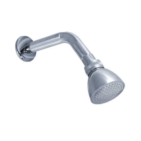 REGADERA CON BRAZO Y CHAPETÓN