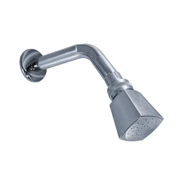 REGADERA CON BRAZO Y CHAPETÓN